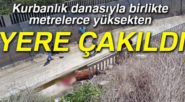 Huysuzlanan dana, sahibiyle birlikte 10 metreden dere yatağına düştü