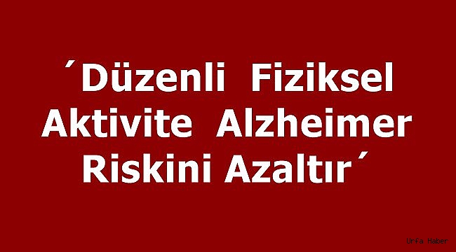Düzenli fiziksel aktivite Alzheimer riskini azaltır
