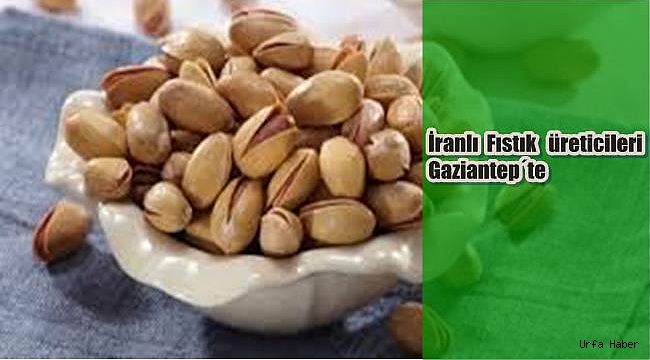 İranlı fıstık üreticileri Gaziantep'te