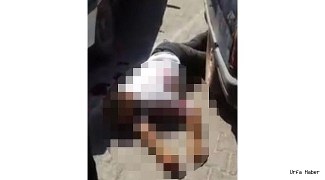 Şanlıurfa’da kan davası yine can aldı