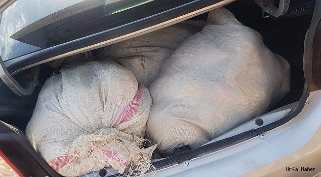 Diyarbakır'da bir ayda 1 ton 863 kilo 763 gram esrar ele geçirildi