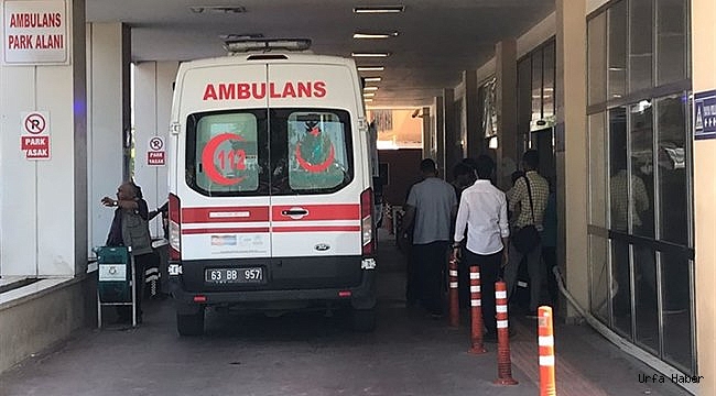 Şanlıurfa'da silahlı kavga
