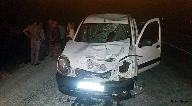 Şanlıurfa'da trafik kazası: 1 ölü