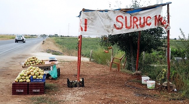 Su "Suruç narı"na can verdi