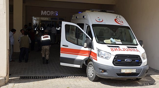 Urfa'da eşini öldüren koca intihar etti