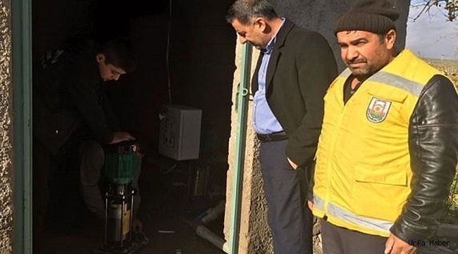 Ceylanpınar'da pes dedirten hırsızlık