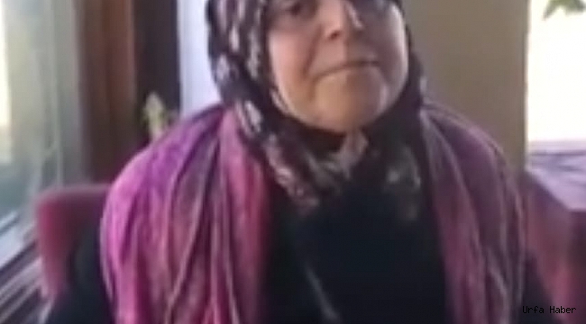 Almanya'dan Şanlıurfa'ya gelen kadın hayatının şokunu yaşadı