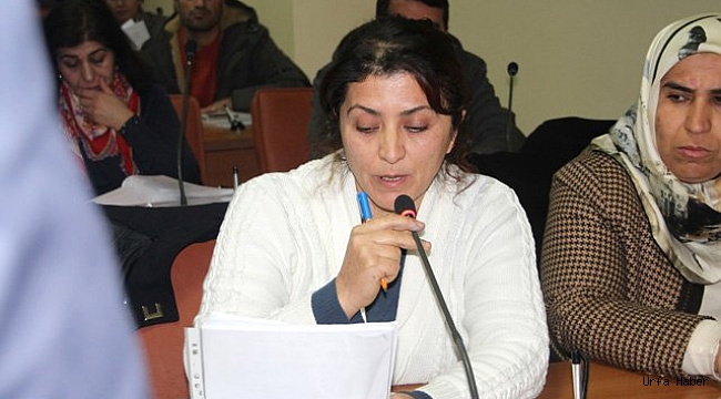 HDP'li Kızıldamar tutuklandı