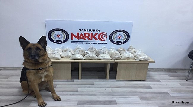 LPG tankında uyuşturucu sevkiyatı