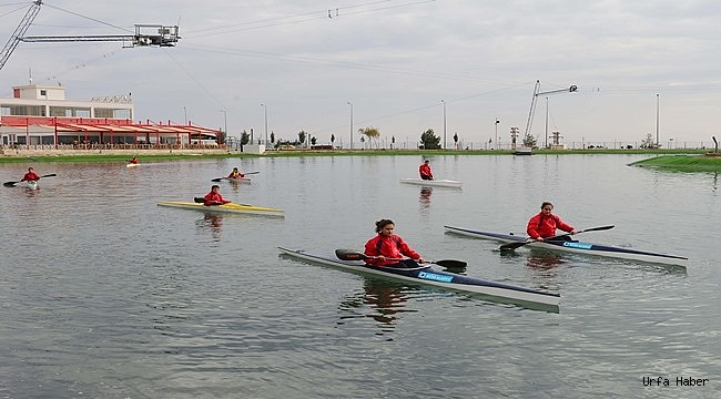 Şanlıurfa'da kanocu sayısı arttı