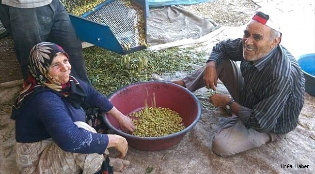Şanlıurfa'da karbonmonoksit zehirlenmesi: 1 ölü