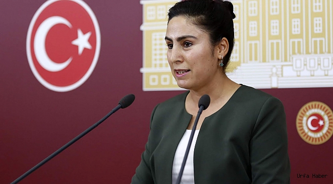 HDP'li vekil: 14 yaşında ki cinsel istismar olayını meclise taşıdı