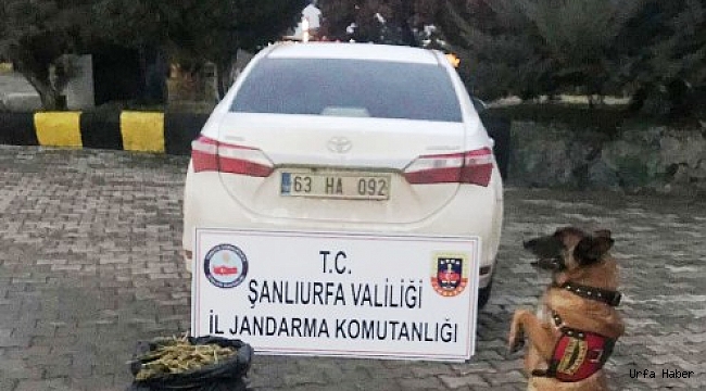 Otomobil lastiği içerisinde uyuşturucu sevkiyatı