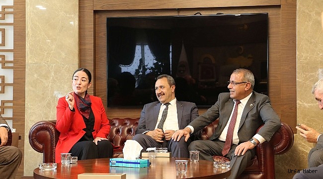 Aslan, Mimar ve Mühendisler ile çalışacağım