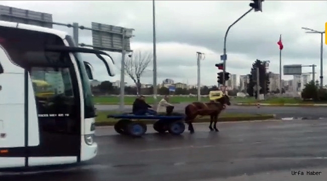 At arabasıyla kırmızı ışıkta bekledi