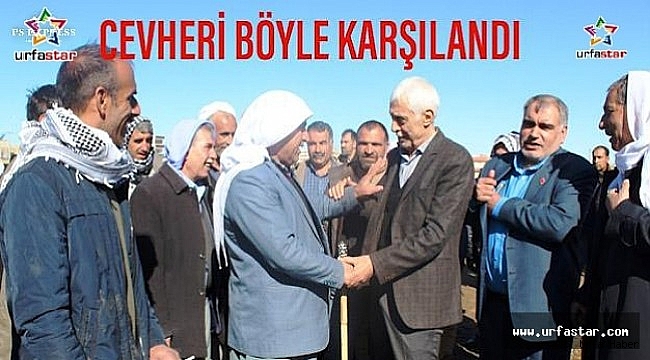 Cevheri Viranşehir'de Coşku İle Karşılandı