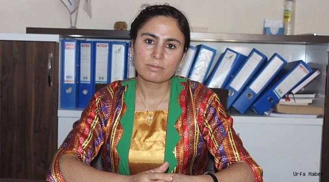 HDP'li vekile 3 yıla kadar hapis istemi