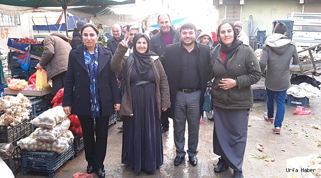 HDP Urfa'da çalışmalarına hız verdi