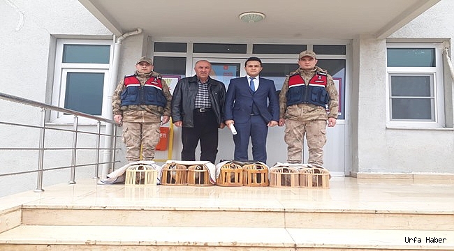 Kaçak avcılardan kurtarılan keklikler doğaya salındı