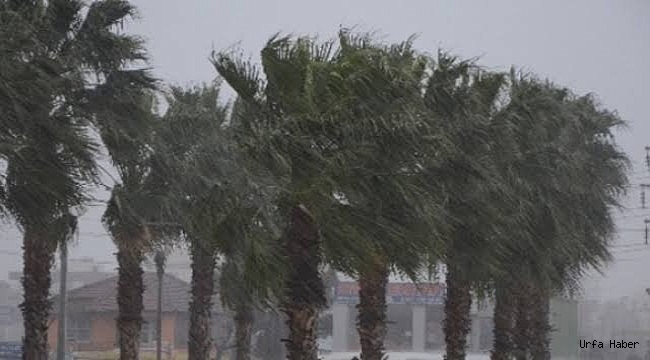 Şiddetli rüzgar Urfa'yı etkiledi