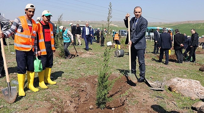 Urfa'da  "Adalet Ormanı" oluşturuldu