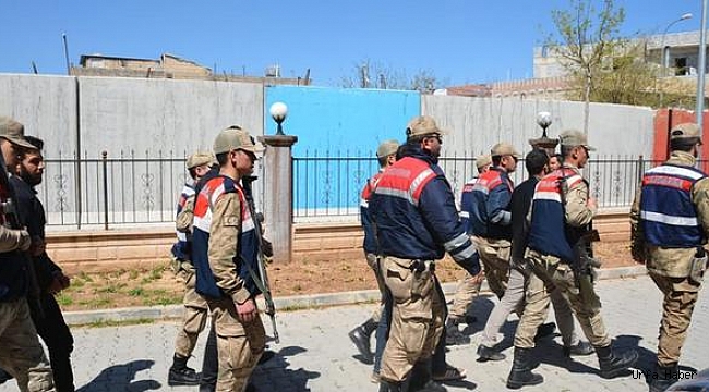 Şanlıurfa'da suç örgütü operasyonu