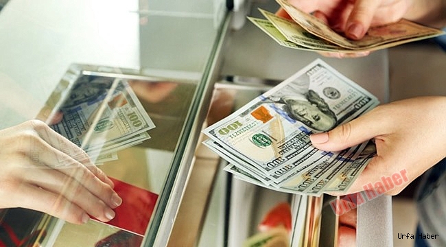 Dolaar 3 TL'ye mi düşecek