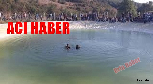 Diyarbakır'da gölete giren 2 çocuk boğuldu