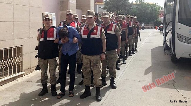 Jandarmadan Dolandırıcılık Operasyonu: 38 Gözaltı