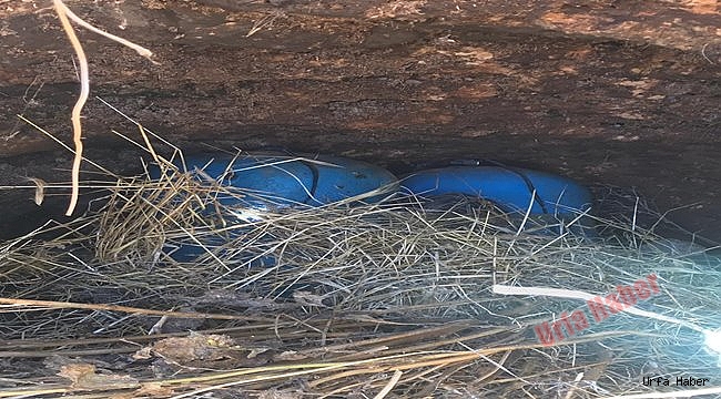 Şanlıurfa'da 70 kilogram patlayıcı bulundu