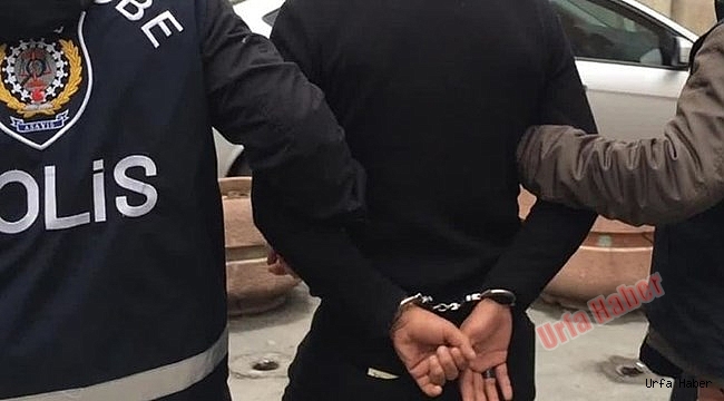 Şanlıurfa'da terör operasyonu