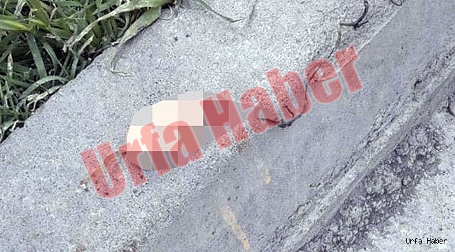 Şanlıurfa'da kesik parmaklar bulundu