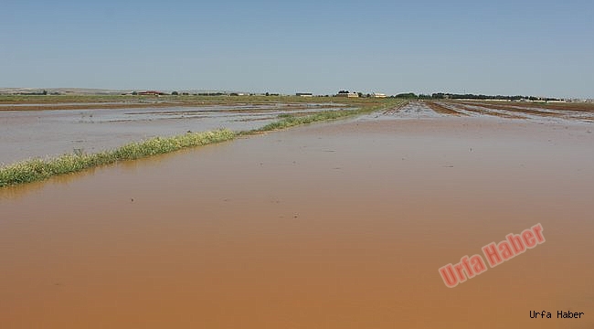 Suruç'u Su Bastı
