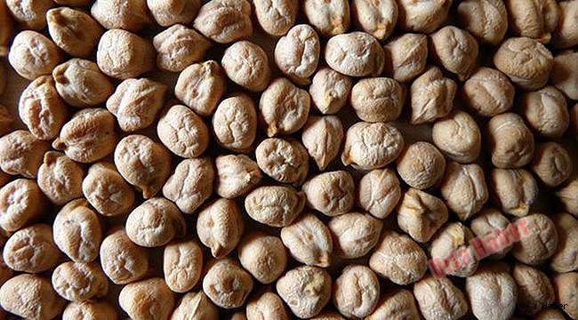 Urfa'da Nohut 2,85 liradan işlem gördü