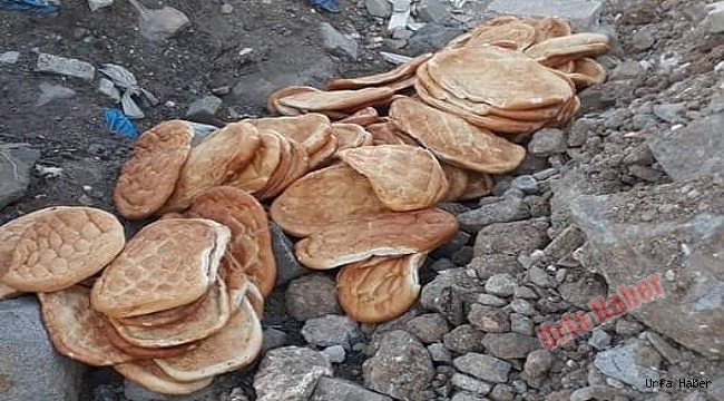 Viranşehir'de "Yuh" dedirten görüntü