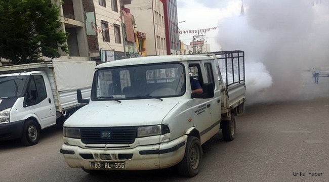 Viranşehir sineklere savaş açtı