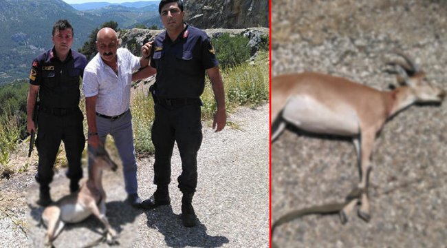 Avcılara şok ceza!