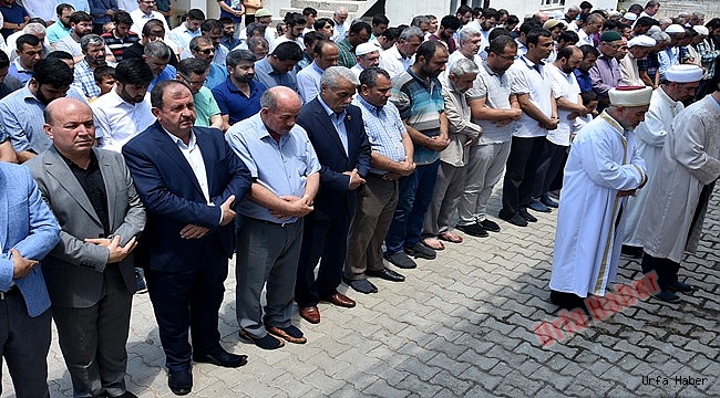 Ceylanpınar'da Muhammed Mursi için gıyabi cenaze namazı kılındı