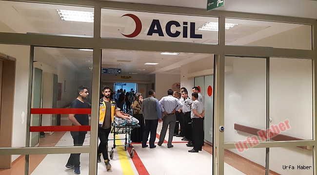Köpeğe çarpan motosiklet sürücüsü ağır yaralandı