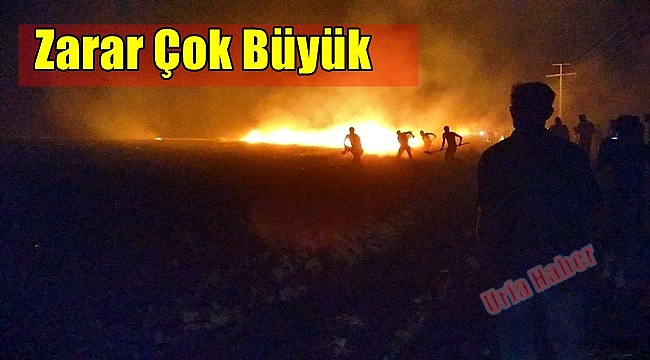 Şanlıurfa'da TİGEM arazisindeki yangın söndürüldü