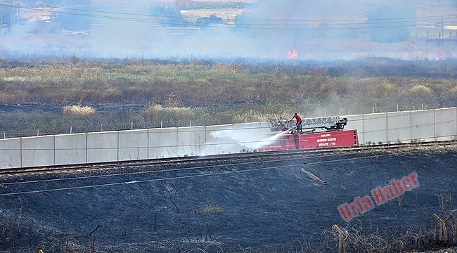 Suriye'de başladı Urfa'ya sıçradı