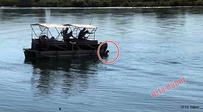 Urfa'da Cezaevi Firarisi Yakalandı