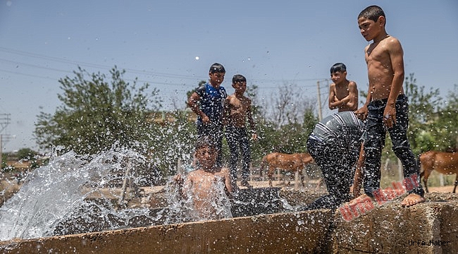 Urfa'da sıcak hava yaşamı etkiledi