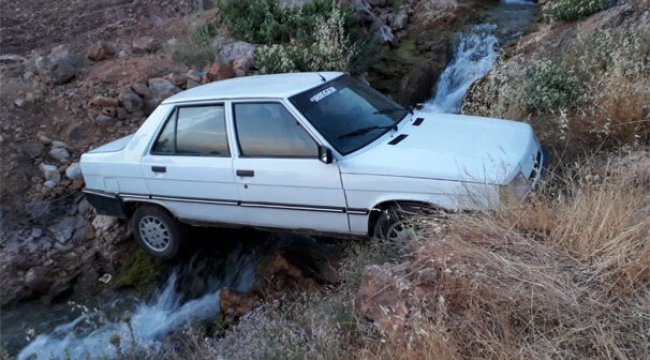 Urfa'dan Gezmeye Mardin'e Gitti Kaza Yaptı