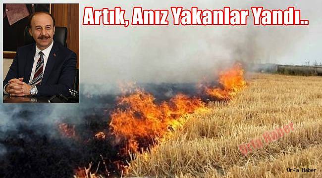 Artık, Anız Yakanlar Yandı..