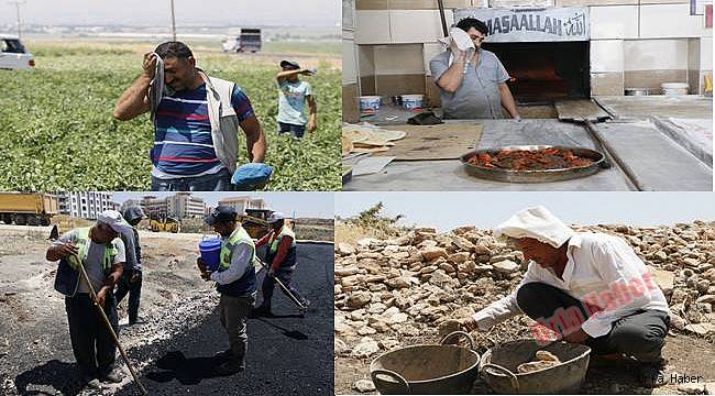 Sıcaklar, Ekmek kavgasına Vız Geliyor