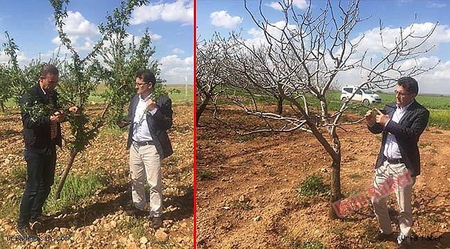 Suruçlu Çiftçiler Bilgilendirildi