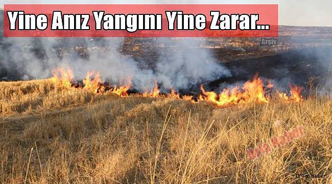 Yine Anız Yangını Yine Zarar...