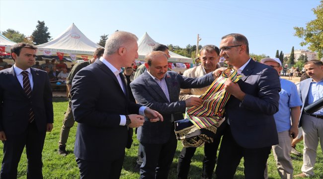 Așırtmalı Aba Güreşi Türkiye Şampiyonası