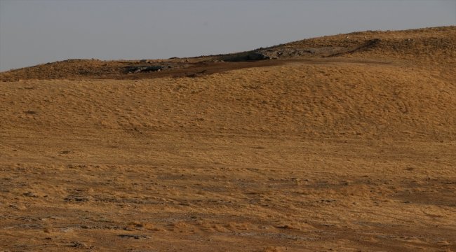 Karahantepe'deki kazı çalışmaları